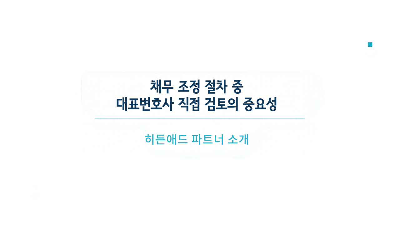 채무 조정 절차 중 대표변호사 직접 검토의 중요성